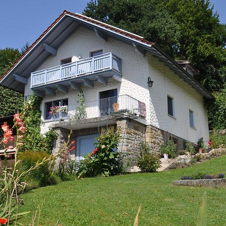 Ferienwohnung Regentalblick Miltach Eksteriør billede