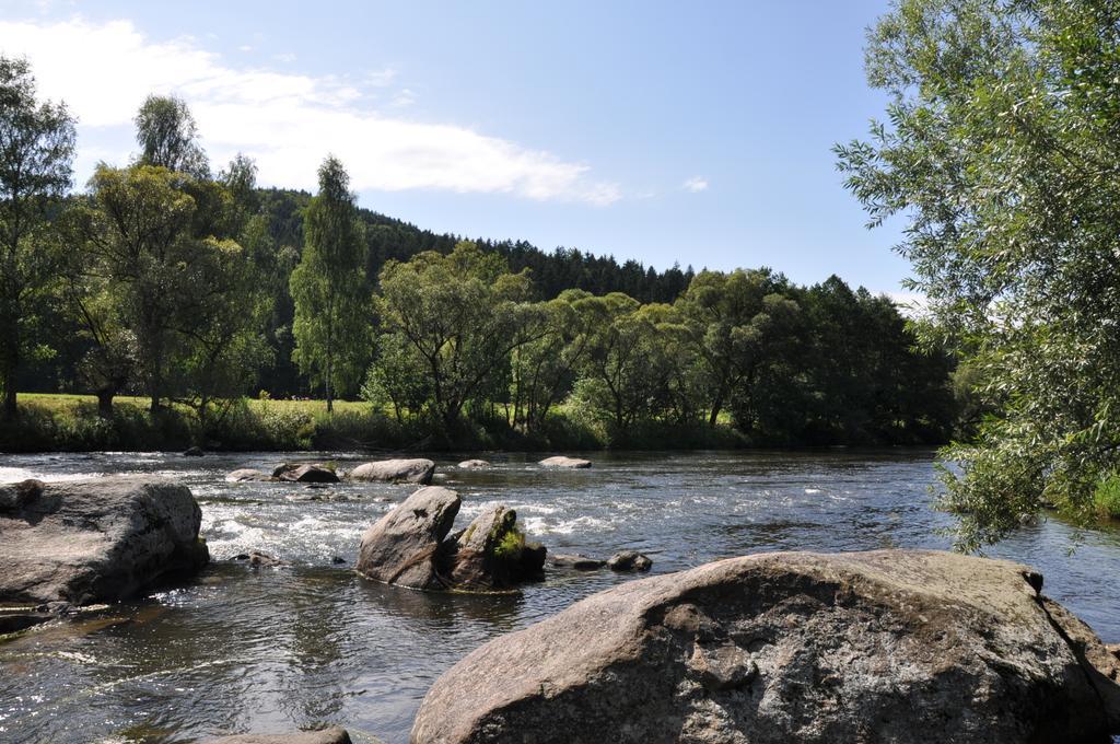 Ferienwohnung Regentalblick Miltach Eksteriør billede