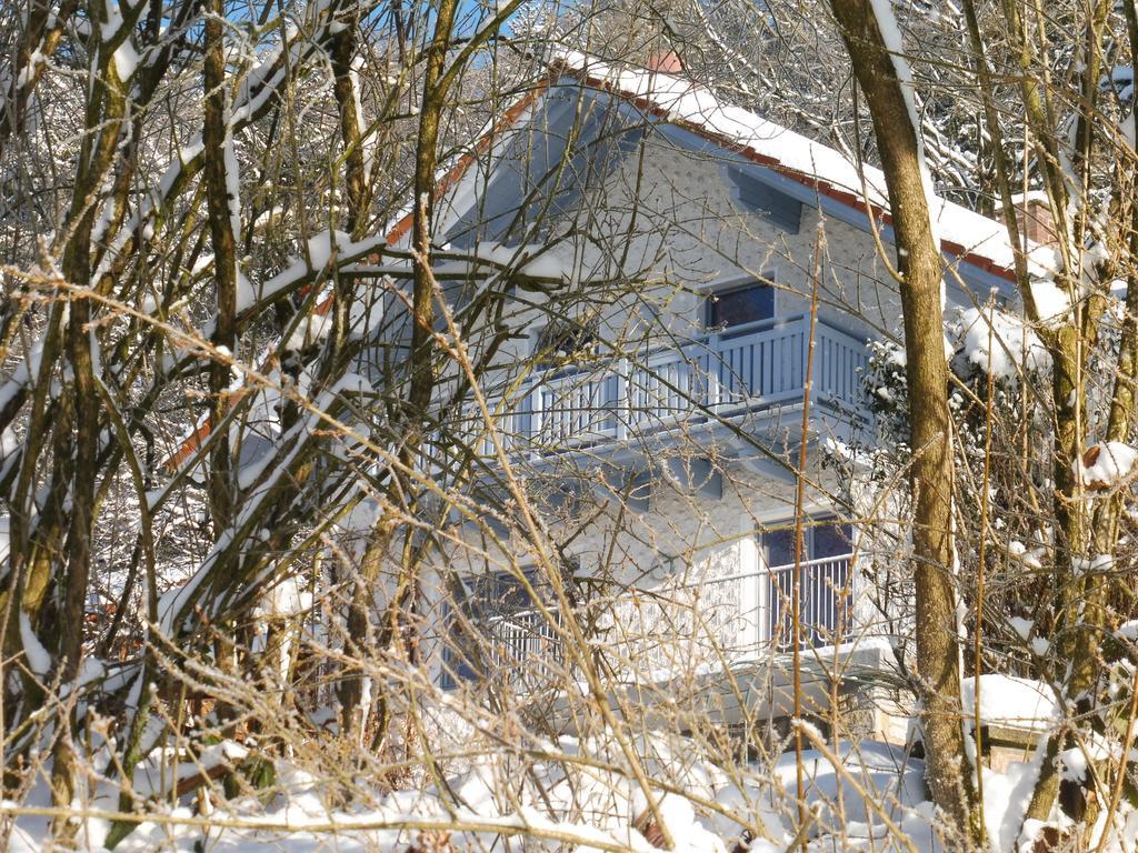 Ferienwohnung Regentalblick Miltach Eksteriør billede