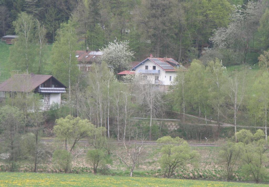 Ferienwohnung Regentalblick Miltach Eksteriør billede